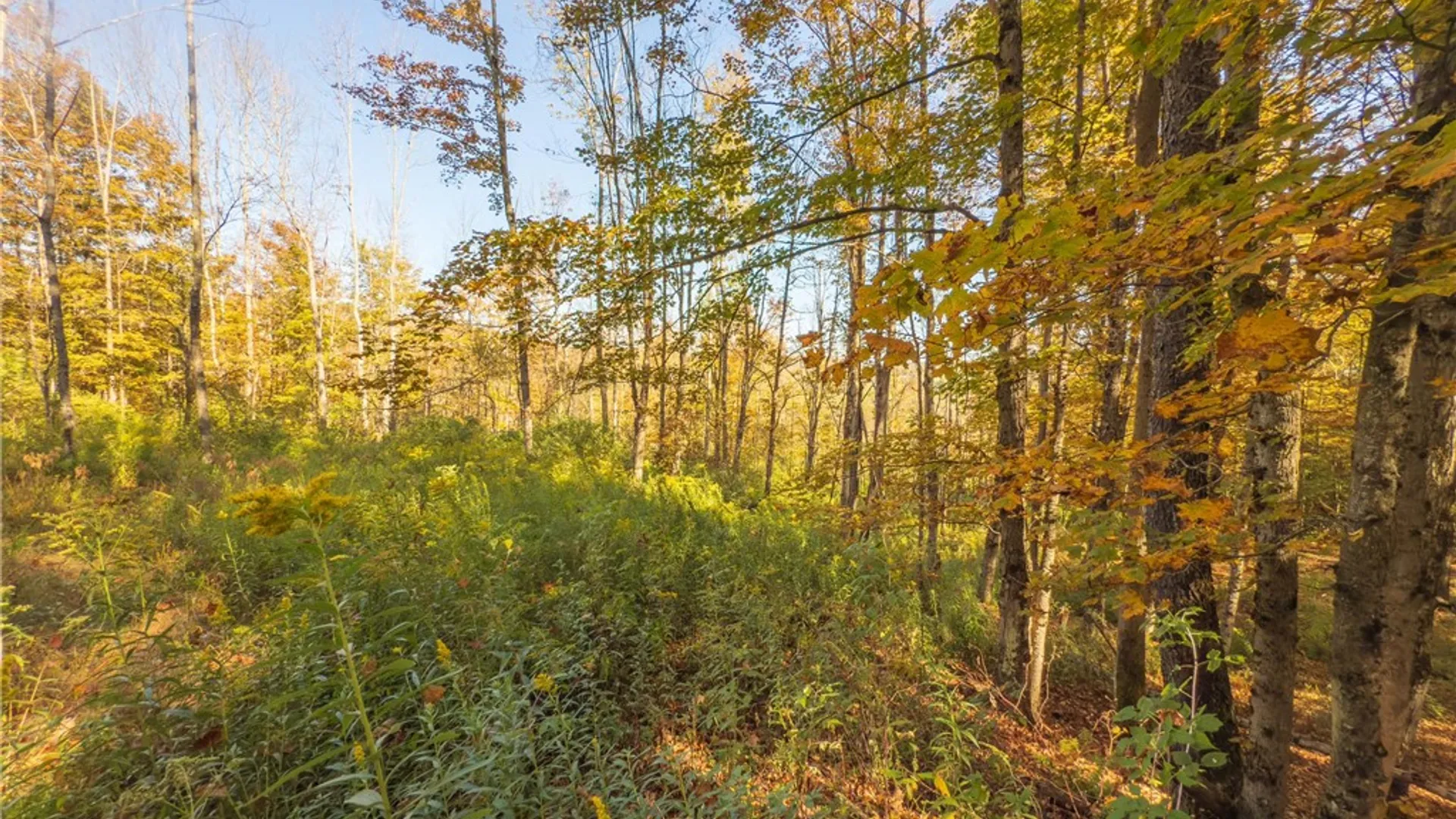 Property at Reservoir Hill Road, Plymouth, NY 13844 29