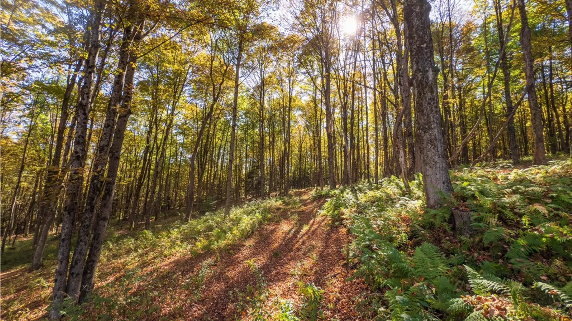 Property at Reservoir Hill Road, Plymouth, NY 13844 30