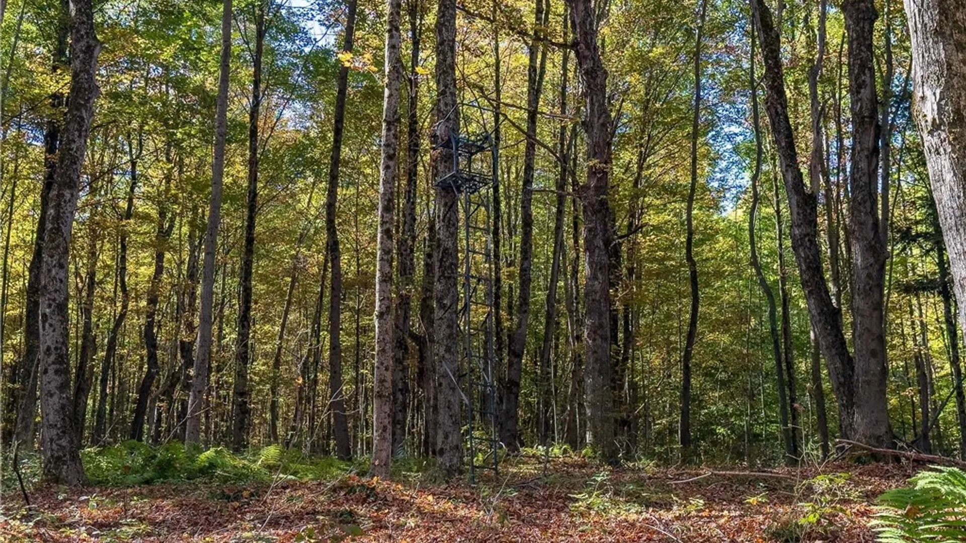 Property at Reservoir Hill Road, Plymouth, NY 13844 32