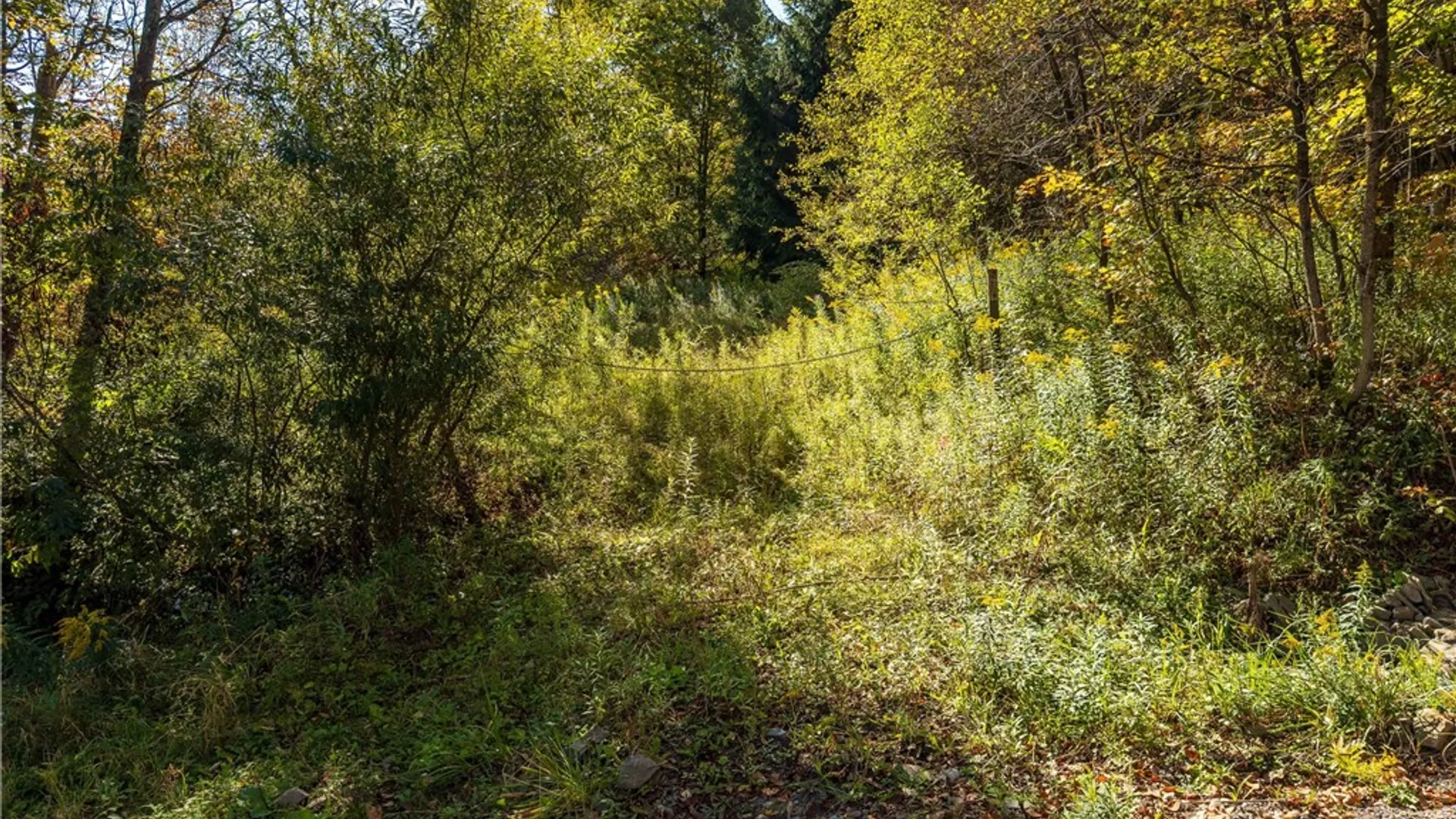 Property at Reservoir Hill Road, Plymouth, NY 13844 34