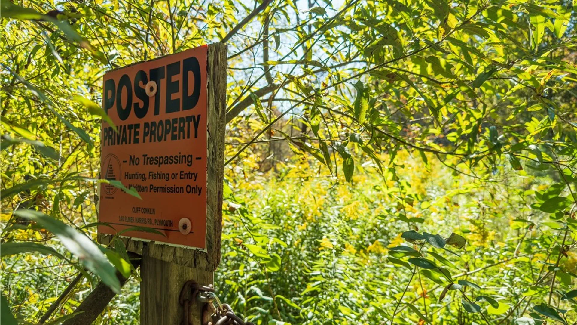 Property at Reservoir Hill Road, Plymouth, NY 13844 35