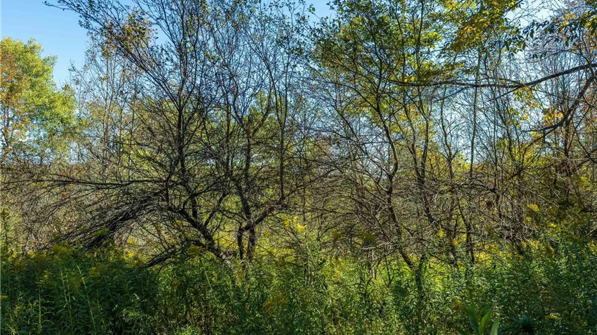 Property at Reservoir Hill Road, Plymouth, NY 13844 36