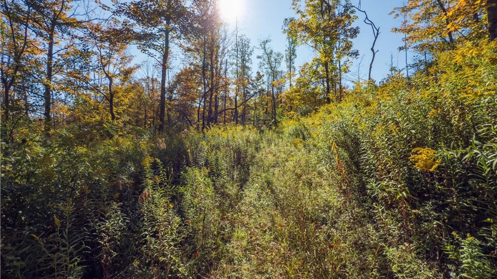 Property at Reservoir Hill Road, Plymouth, NY 13844 38