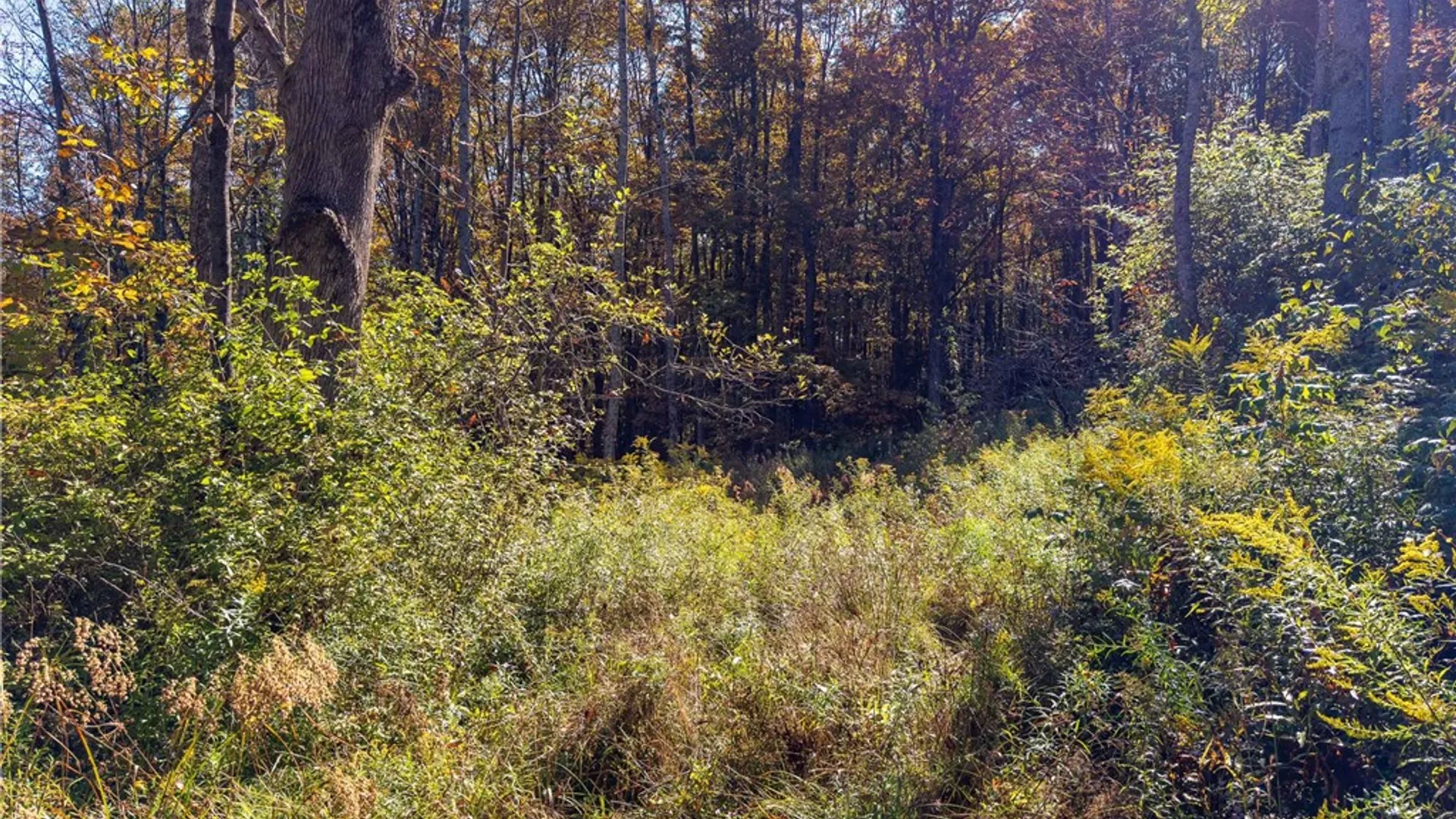 Property at Reservoir Hill Road, Plymouth, NY 13844 39