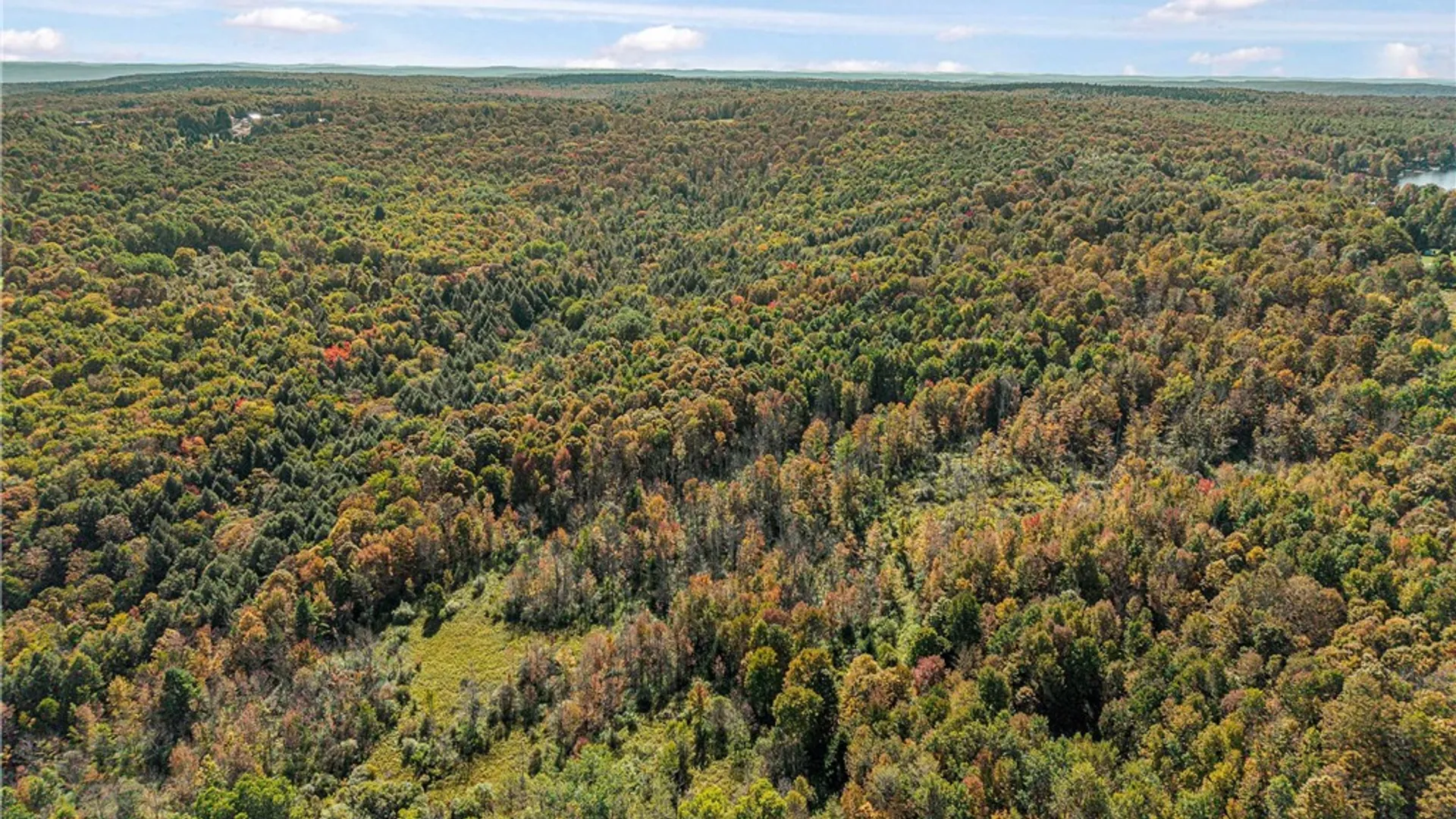 Property at Reservoir Hill Road, Plymouth, NY 13844 4