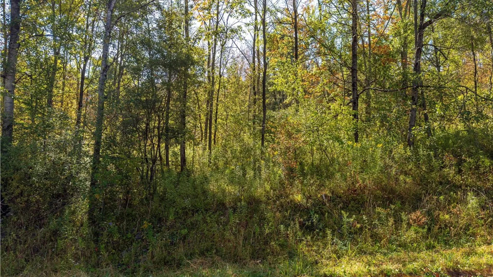 Property at Reservoir Hill Road, Plymouth, NY 13844 40