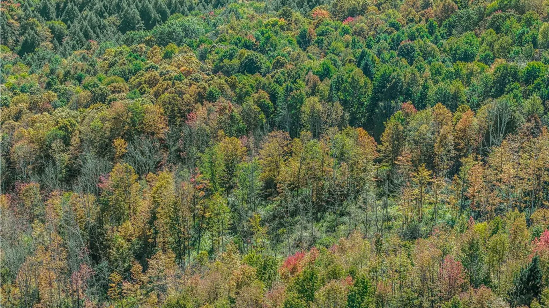 Property at Reservoir Hill Road, Plymouth, NY 13844 43