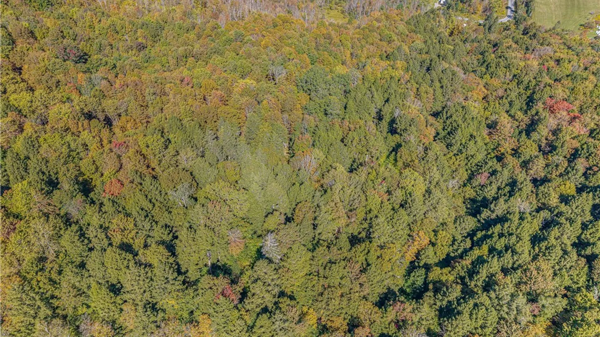 Property at Reservoir Hill Road, Plymouth, NY 13844 47