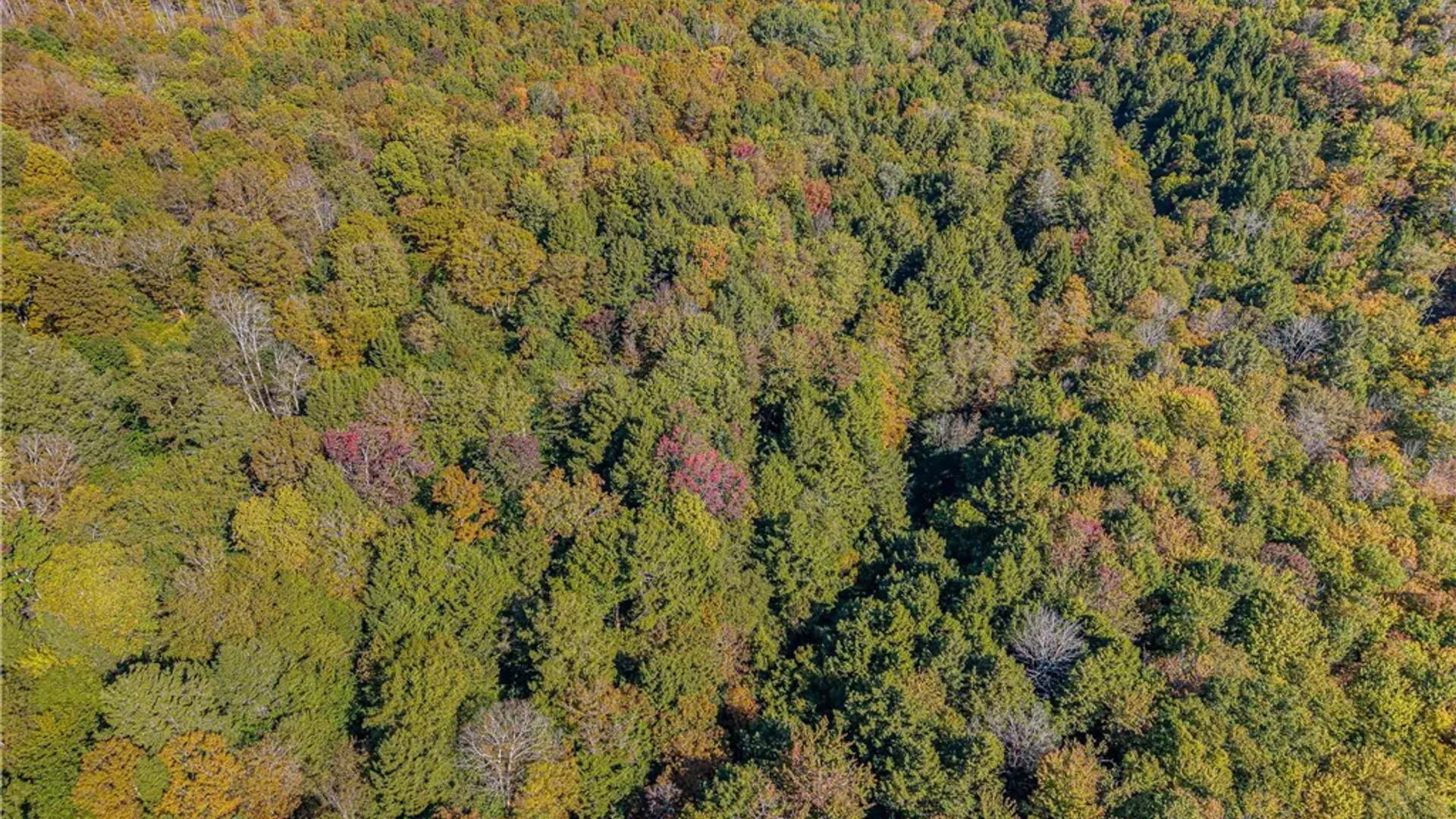 Property at Reservoir Hill Road, Plymouth, NY 13844 48