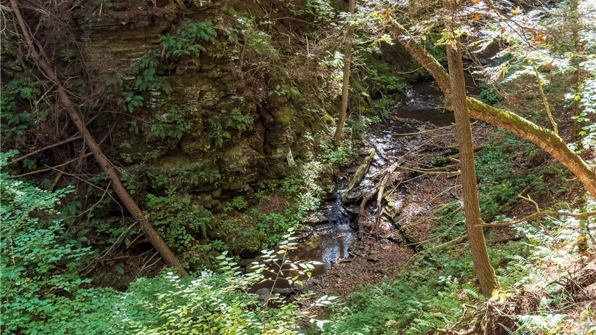 Property at Reservoir Hill Road, Plymouth, NY 13844 5