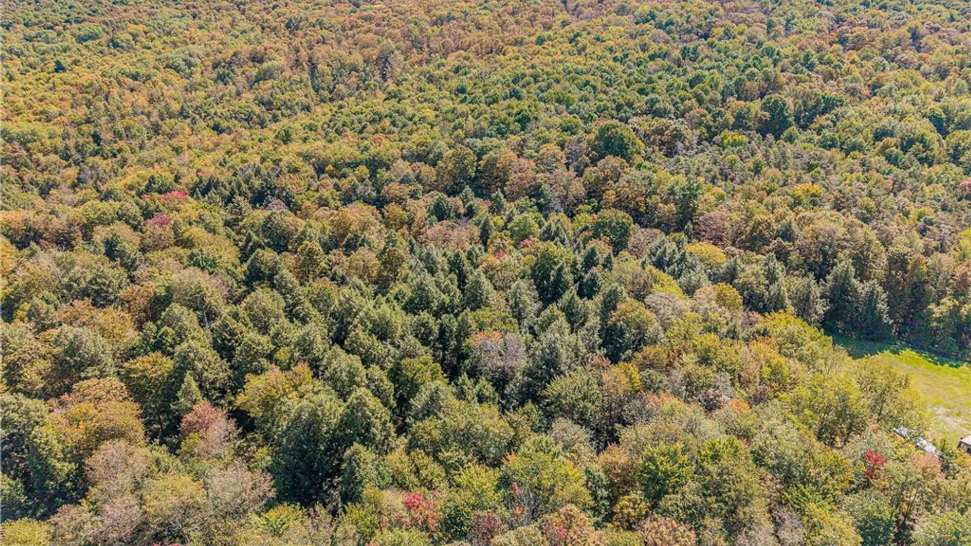 Property at Reservoir Hill Road, Plymouth, NY 13844 50