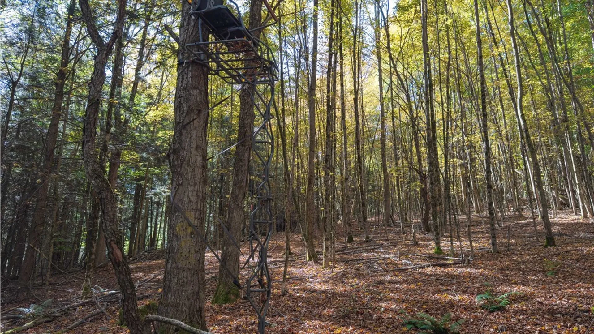 Property at Reservoir Hill Road, Plymouth, NY 13844 7