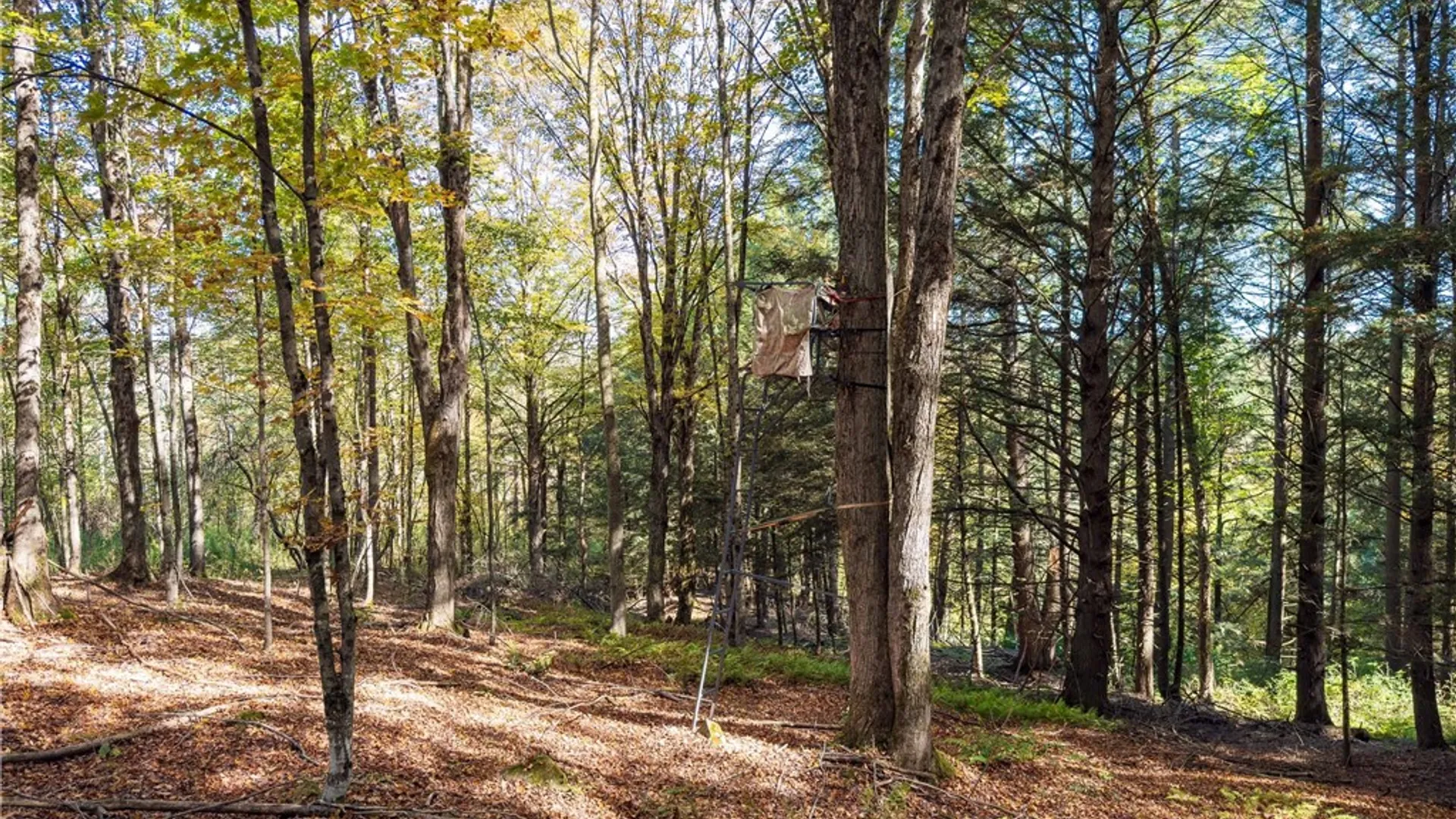 Property at Reservoir Hill Road, Plymouth, NY 13844 8