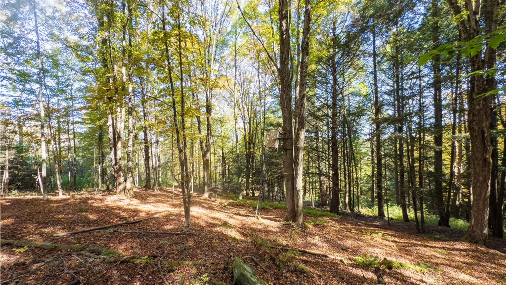 Property at Reservoir Hill Road, Plymouth, NY 13844 9