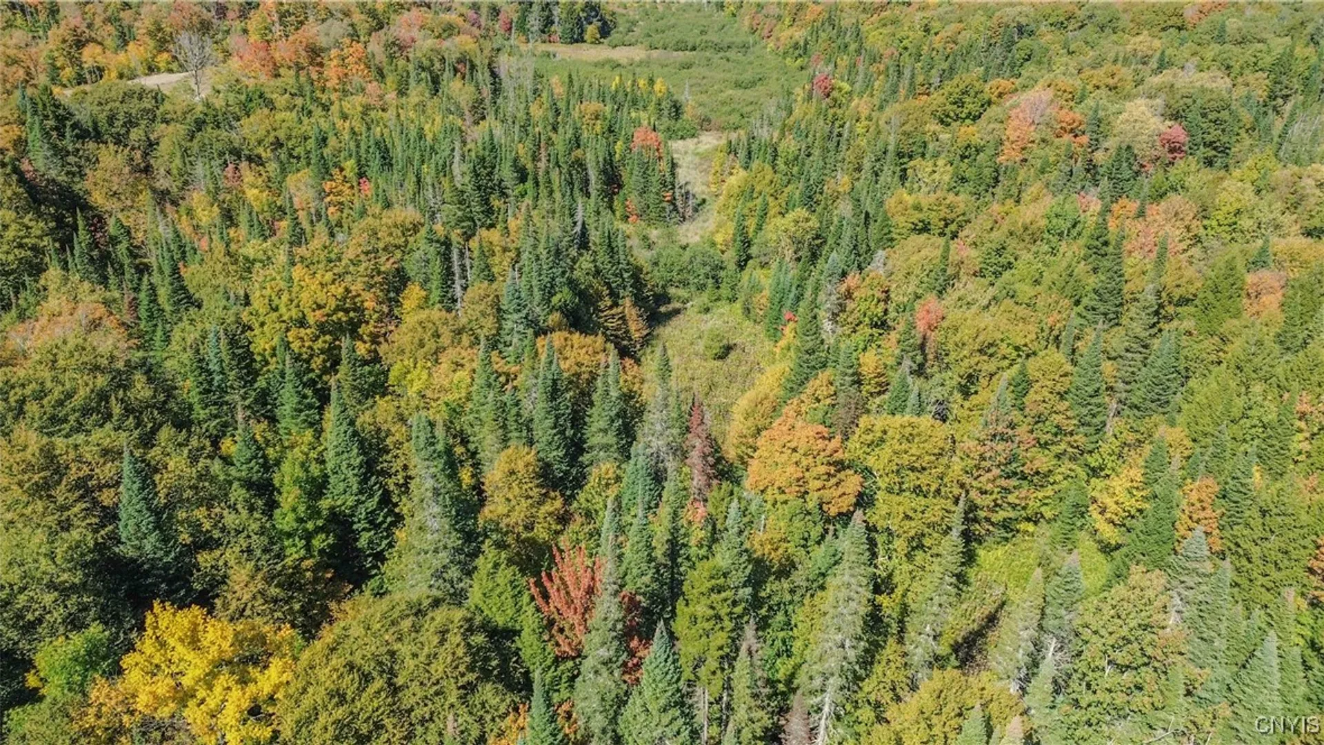 Property at 7087 Liberty Road, Montague, NY 13626 10