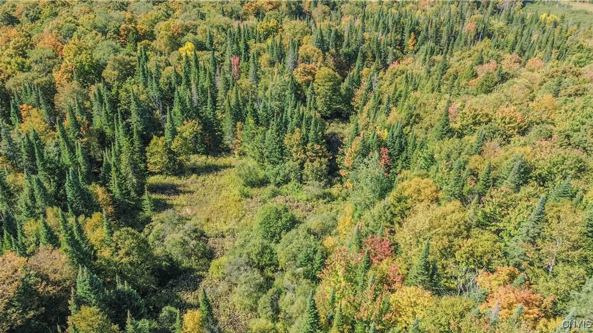 Property at 7087 Liberty Road, Montague, NY 13626 11