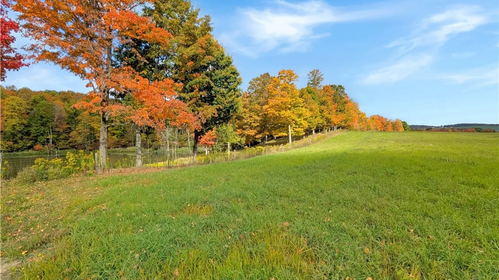 Property at 8246 Ballard Road, Centerville, NY 14735 15