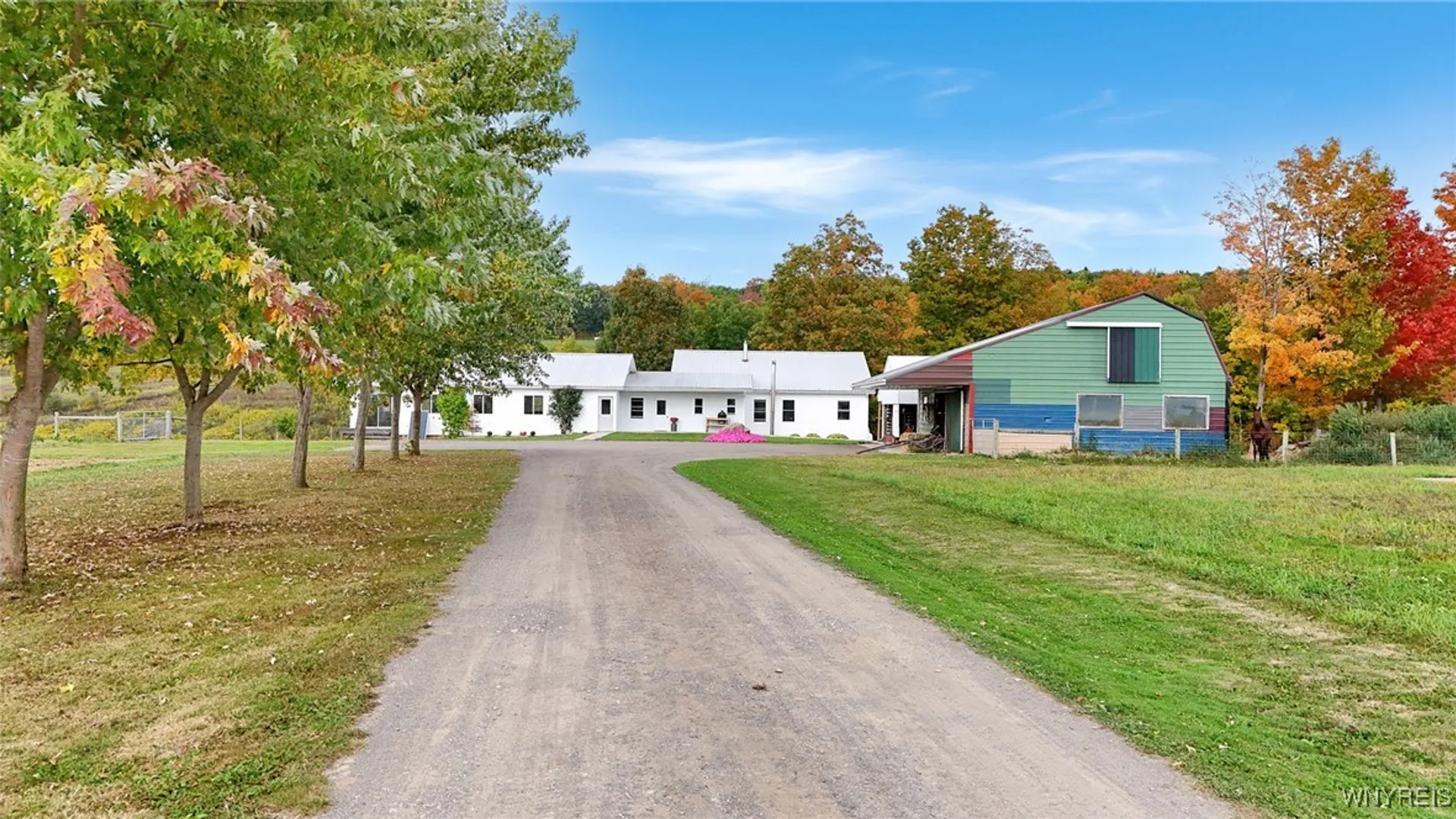Property at 8246 Ballard Road, Centerville, NY 14735 6