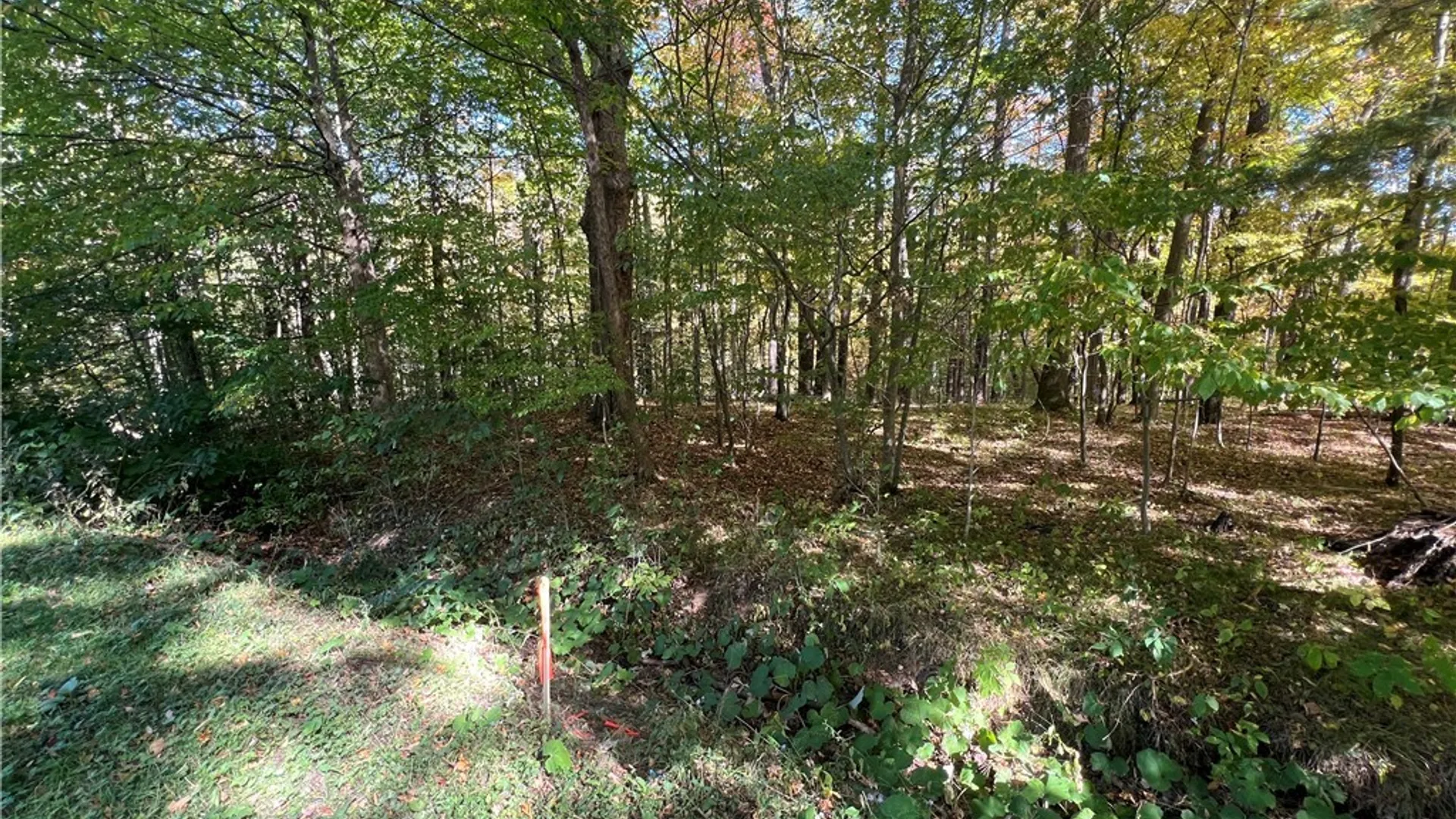 Property at Orr Street, Busti, NY 14701 10