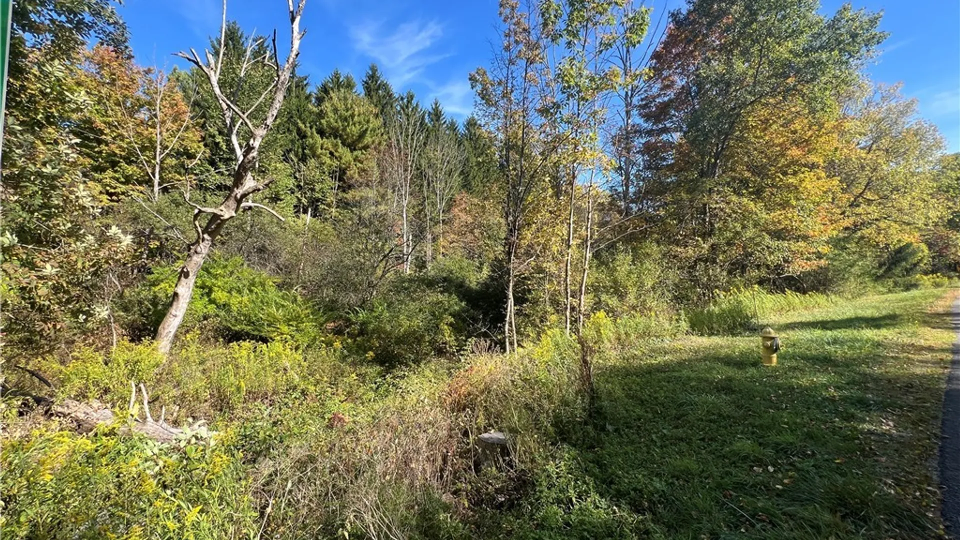 Property at Orr Street, Busti, NY 14701 12