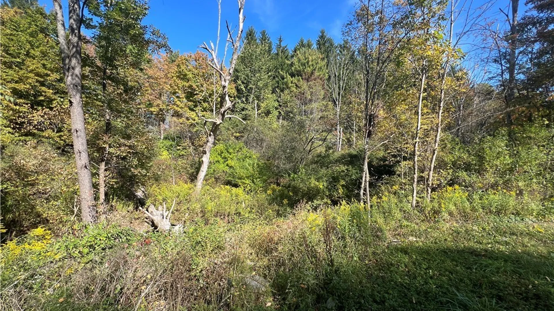 Property at Orr Street, Busti, NY 14701 5