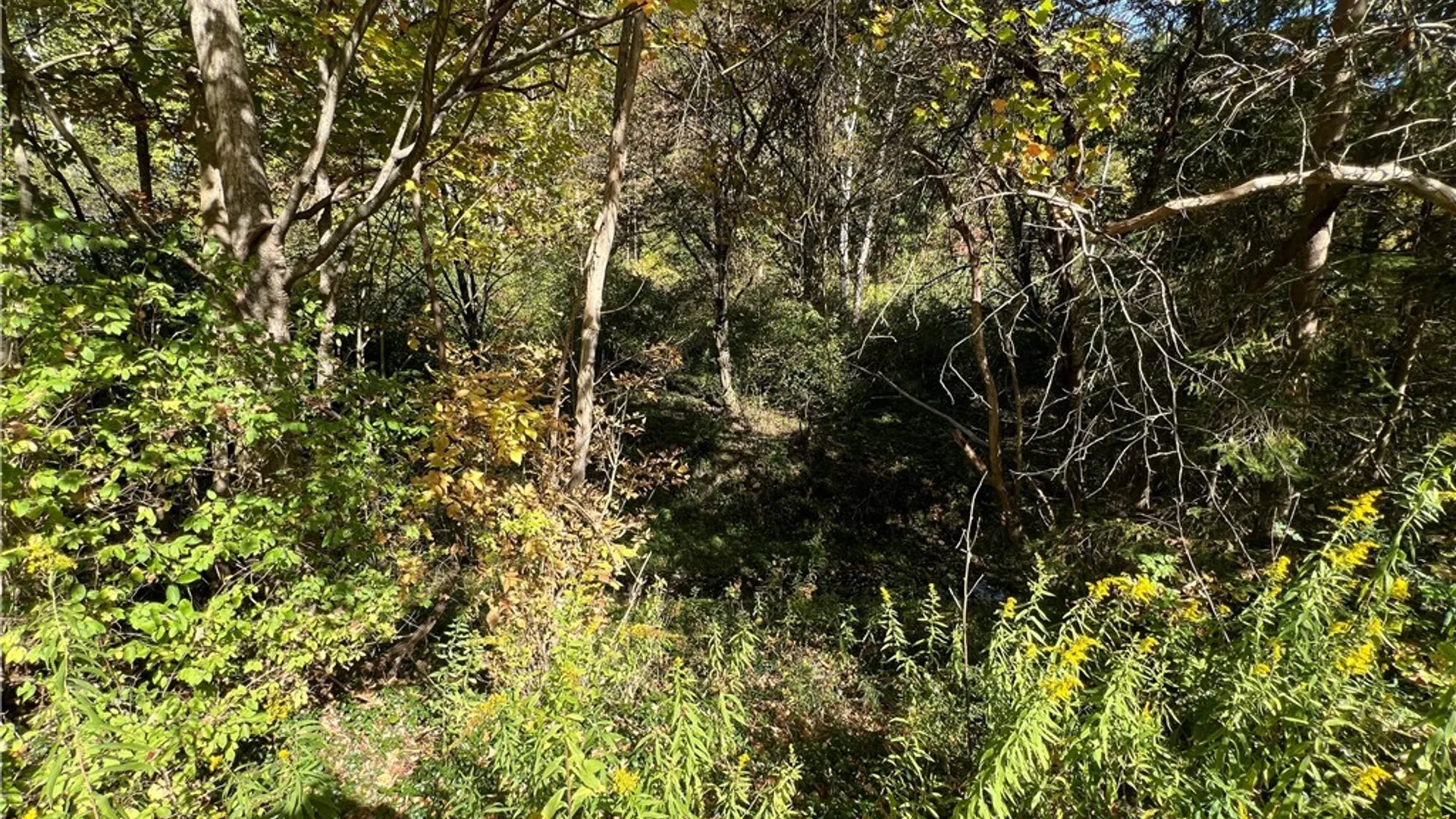 Property at Orr Street, Busti, NY 14701 6