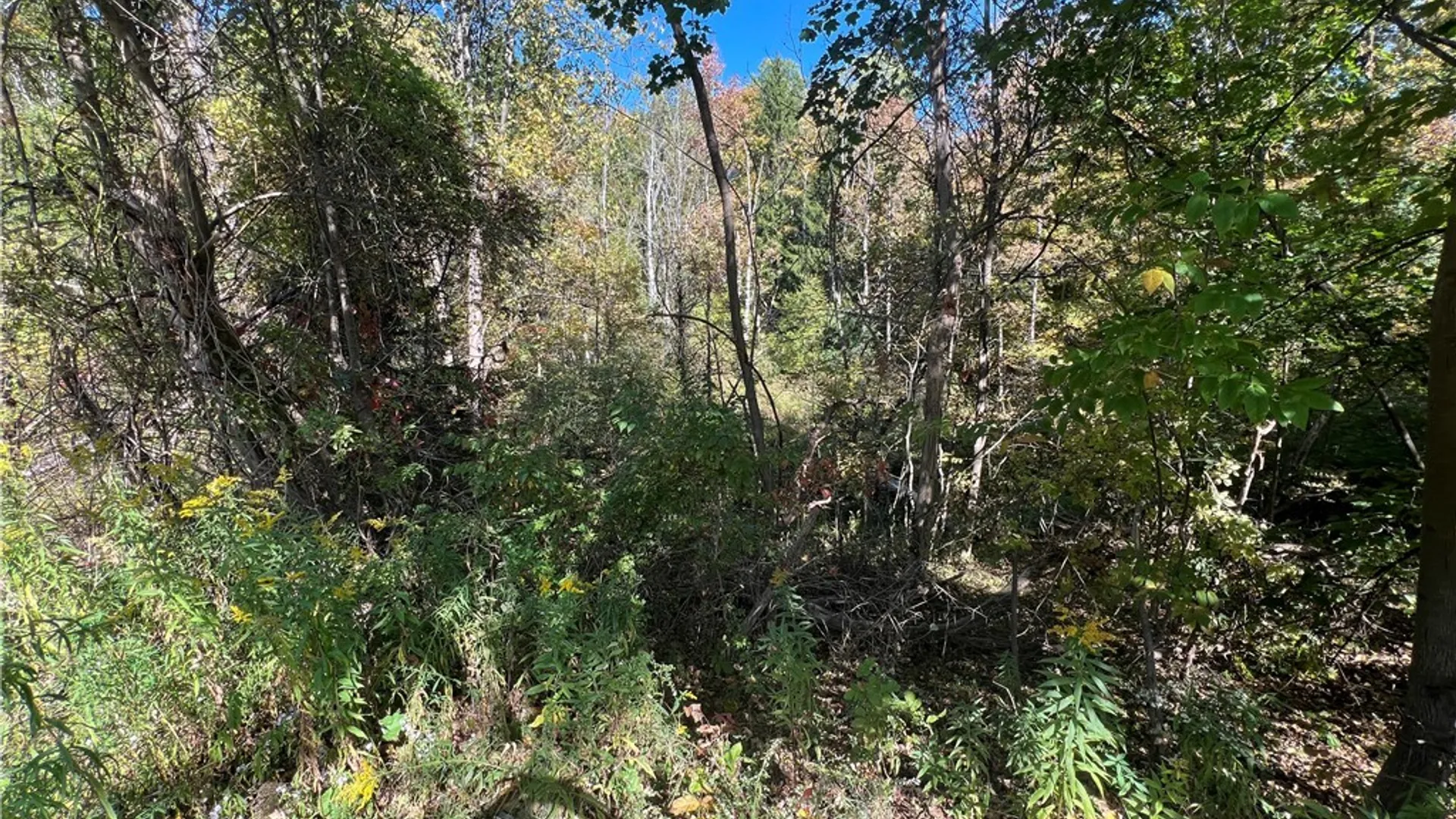 Property at Orr Street, Busti, NY 14701 7