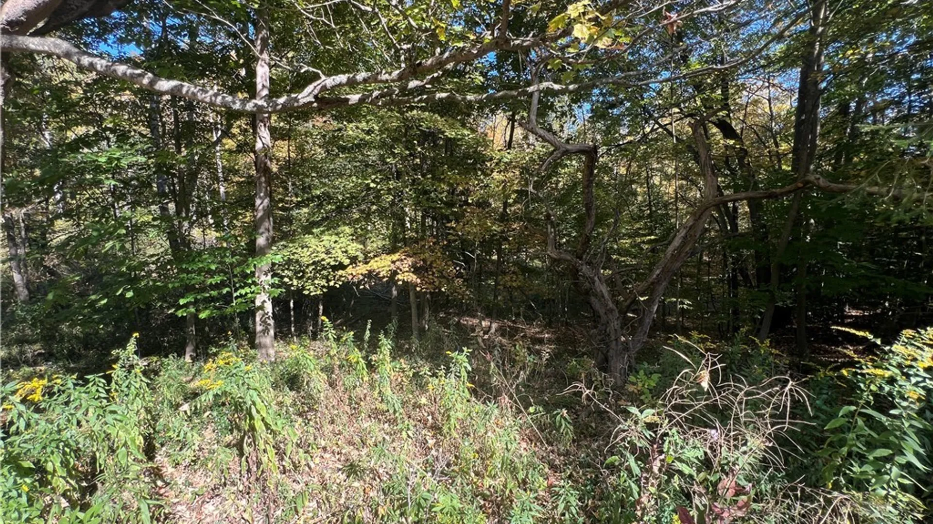 Property at Orr Street, Busti, NY 14701 8