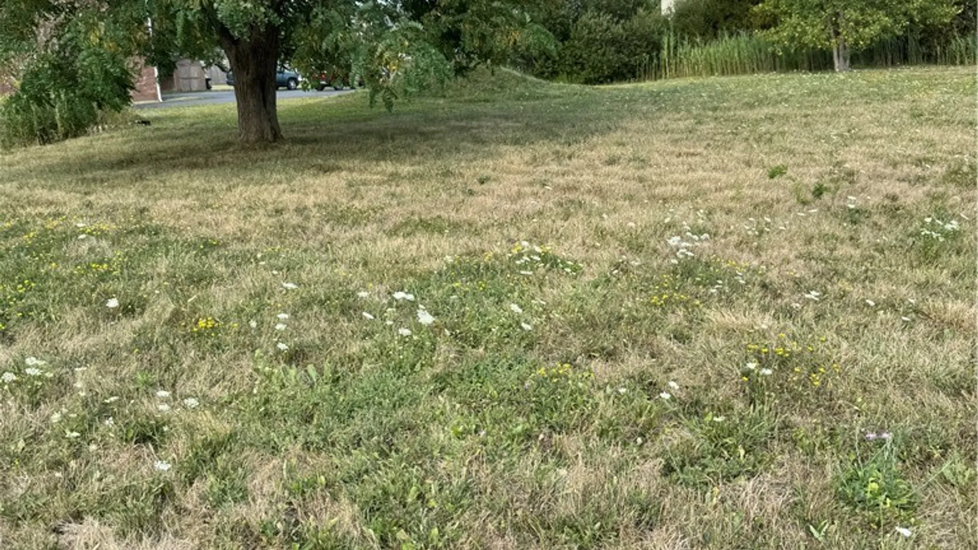 Property at 6983 Plaza Drive, Wheatfield, NY 14304 2