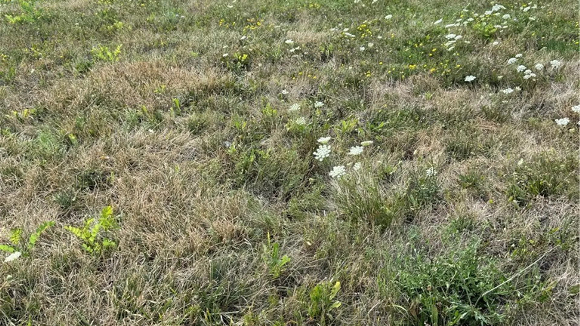 Property at 6983 Plaza Drive, Wheatfield, NY 14304 3