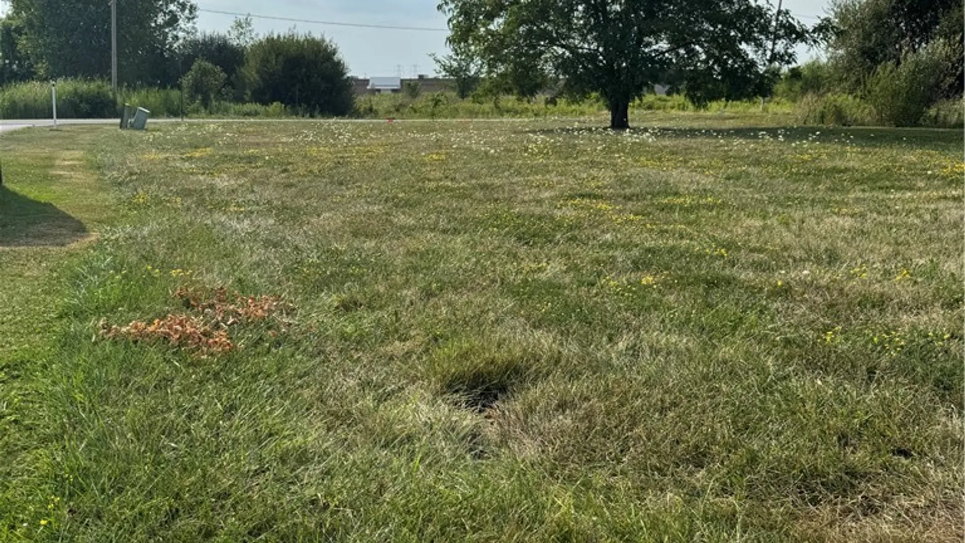 Property at 6983 Plaza Drive, Wheatfield, NY 14304 4