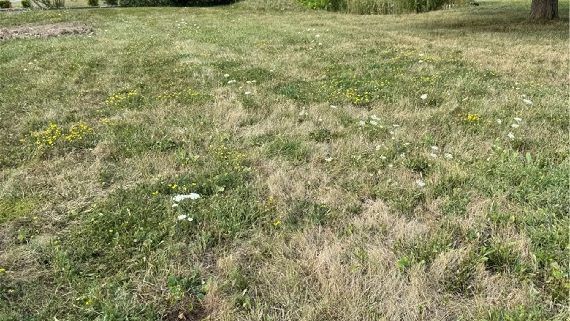 Property at 6983 Plaza Drive, Wheatfield, NY 14304 9