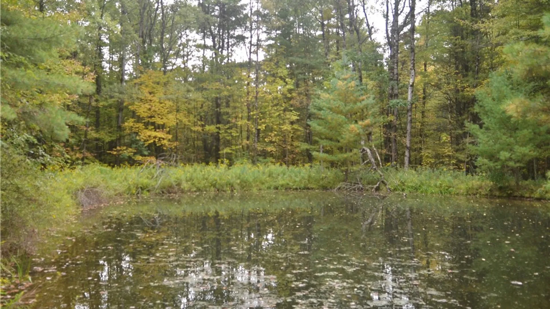 Property at 330 Tallow Hill Road, Spencer, NY 14883 11