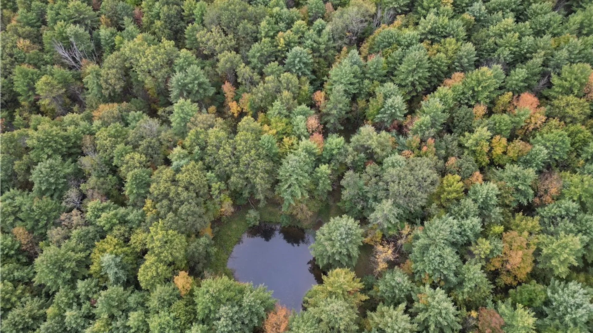 Property at 330 Tallow Hill Road, Spencer, NY 14883 12