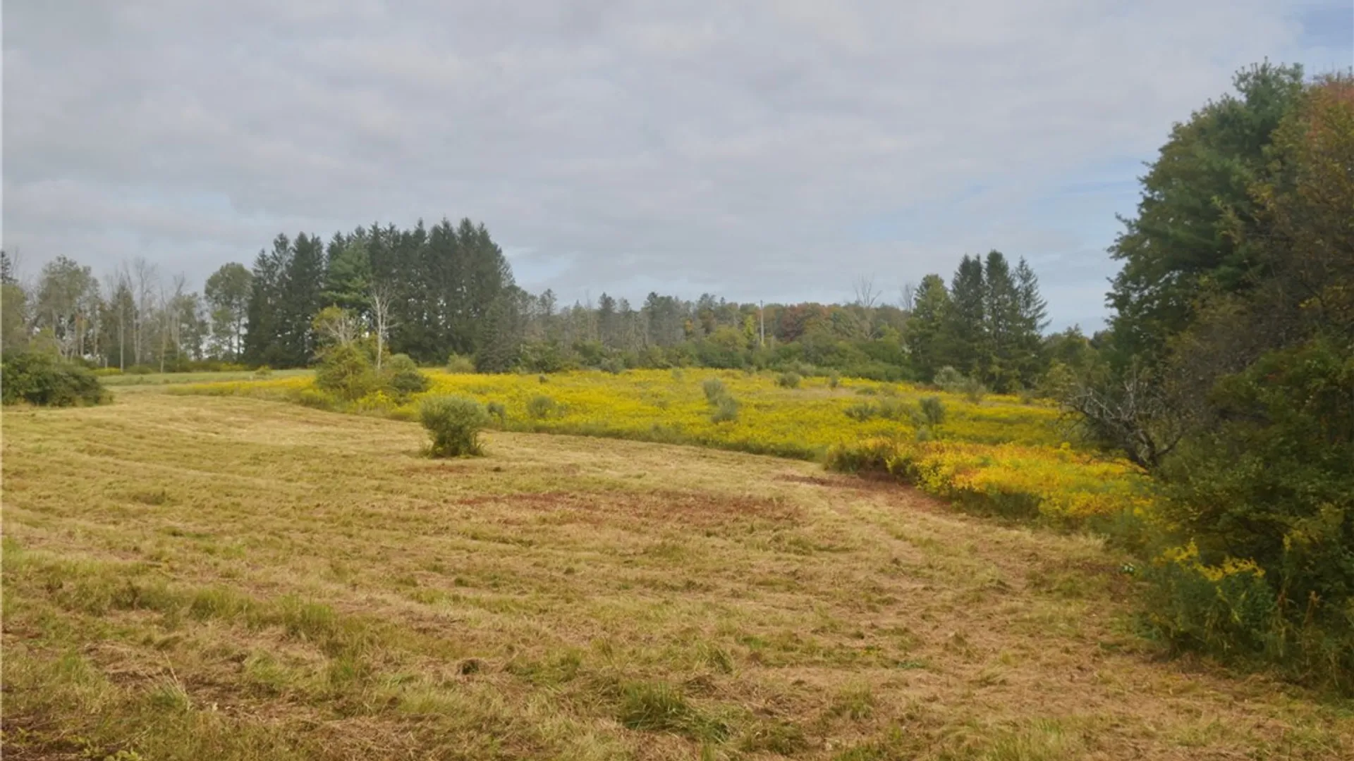 Property at 330 Tallow Hill Road, Spencer, NY 14883 17