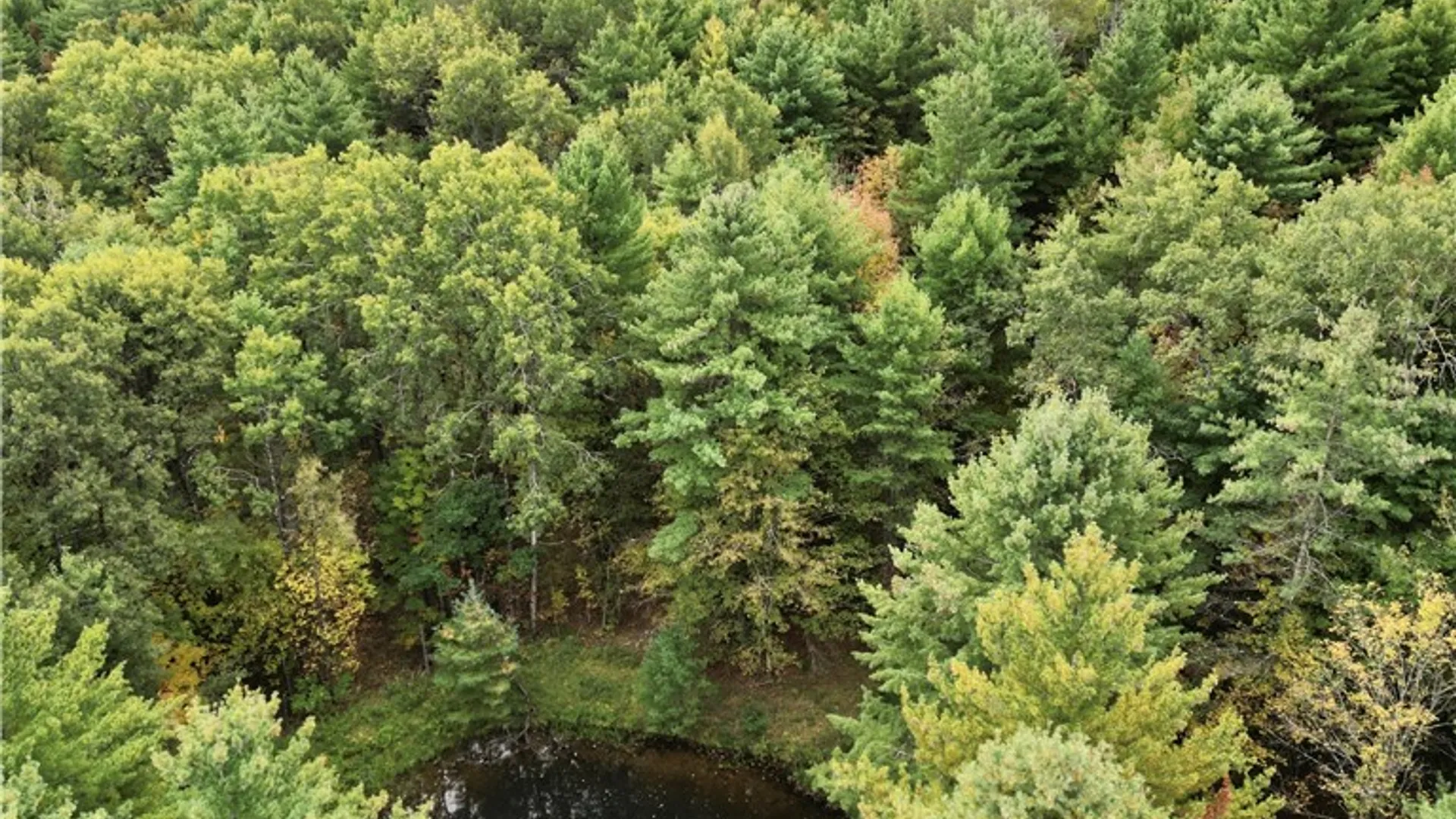 Property at 330 Tallow Hill Road, Spencer, NY 14883 18