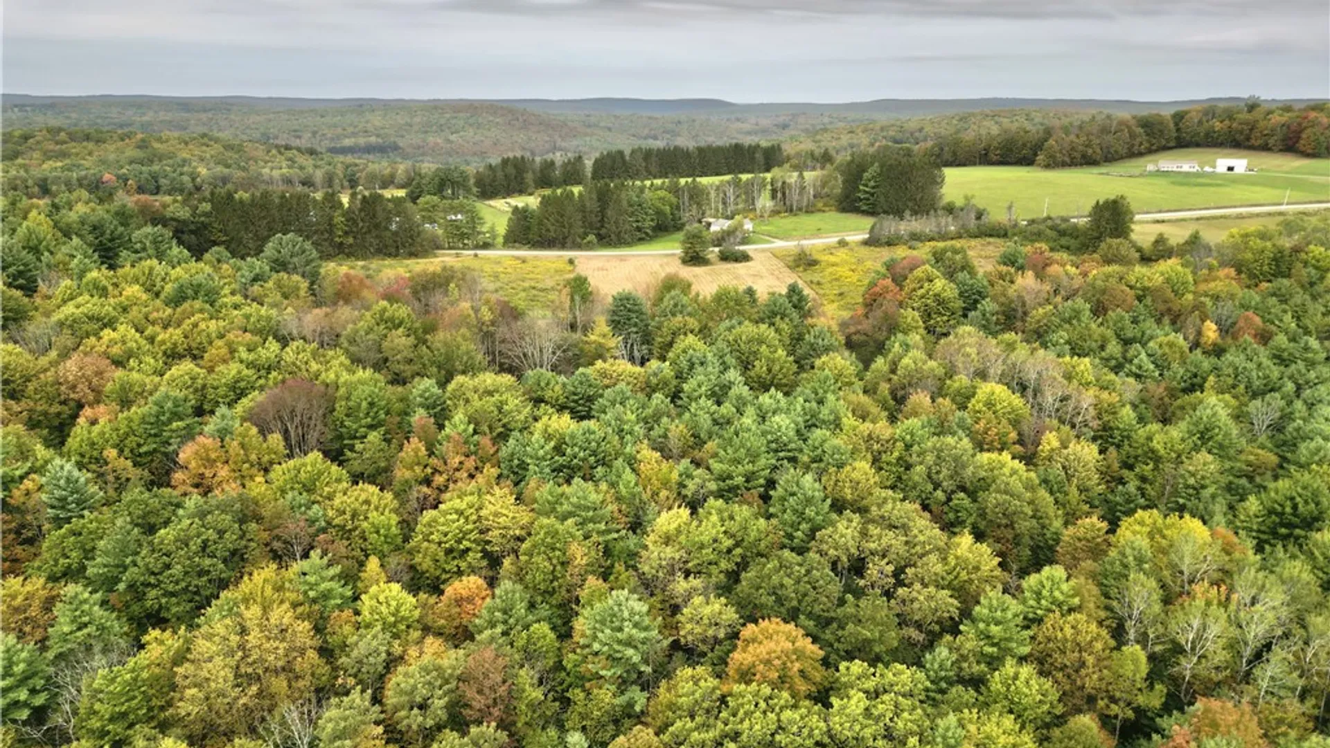 Property at 330 Tallow Hill Road, Spencer, NY 14883 19