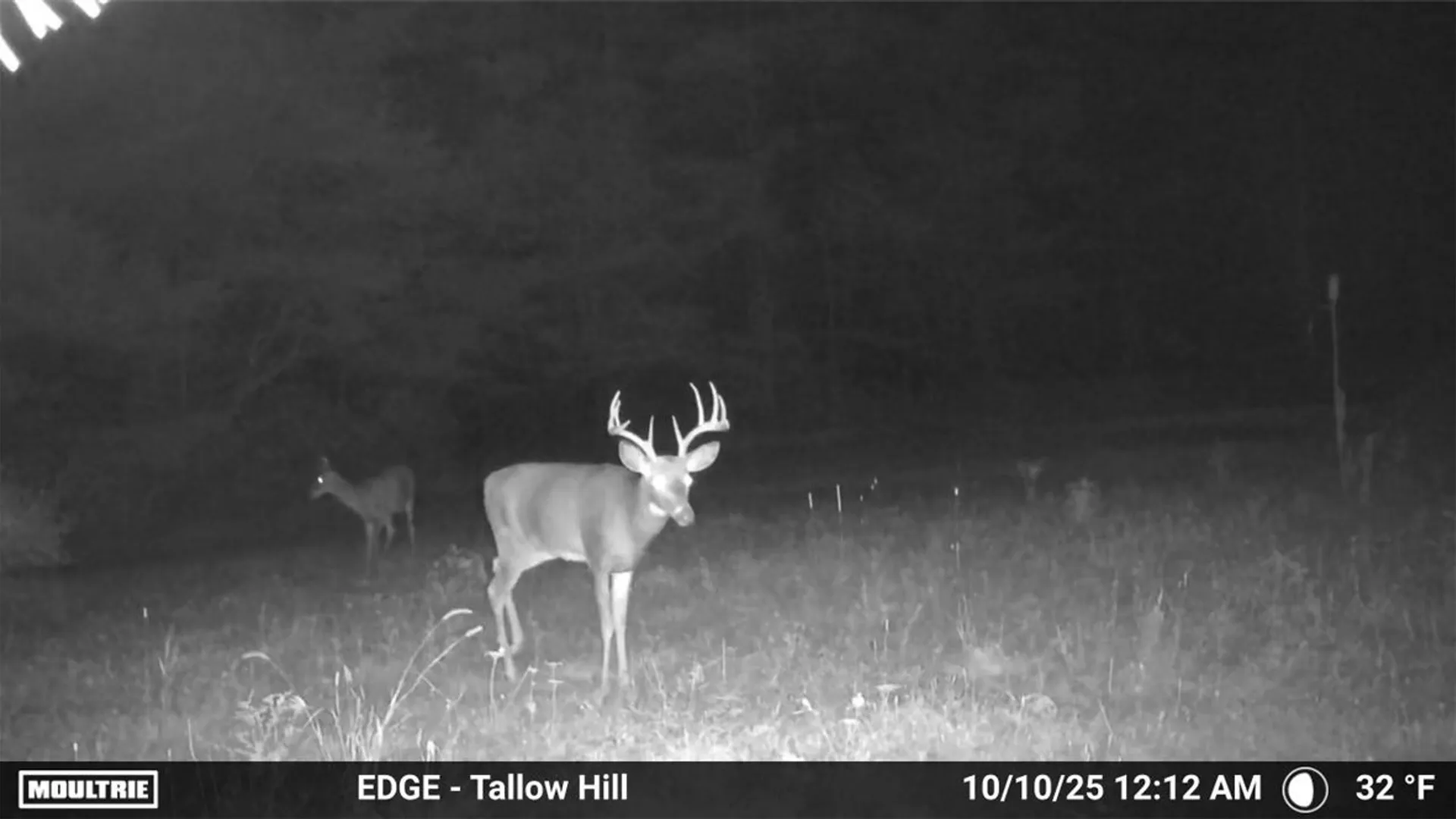 Property at 330 Tallow Hill Road, Spencer, NY 14883 2