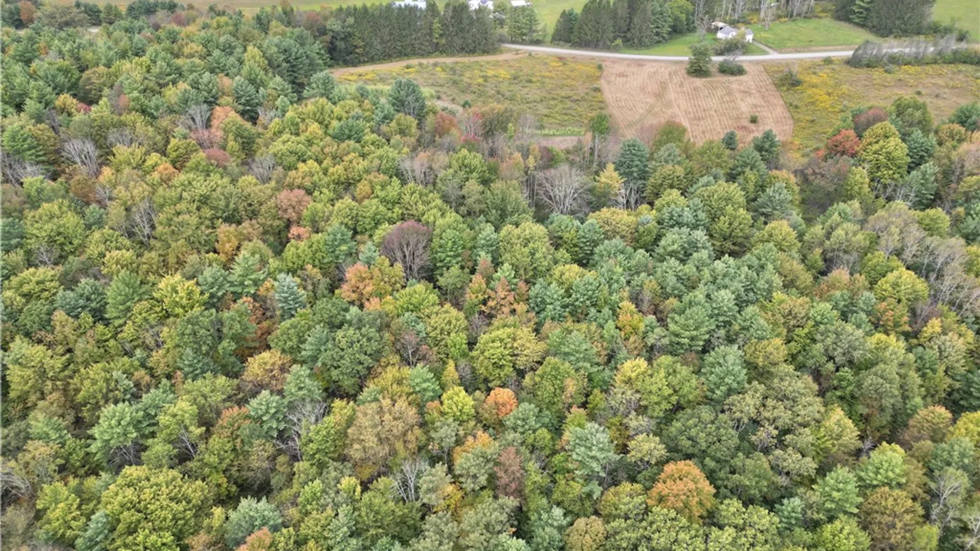 Property at 330 Tallow Hill Road, Spencer, NY 14883 20