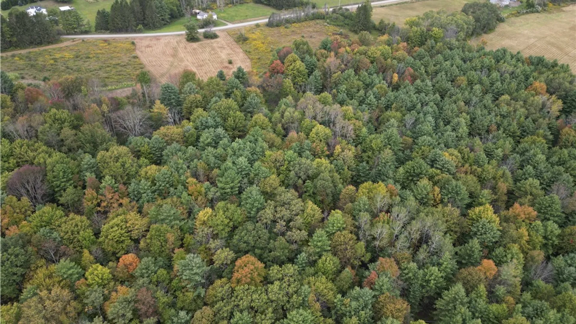 Property at 330 Tallow Hill Road, Spencer, NY 14883 21