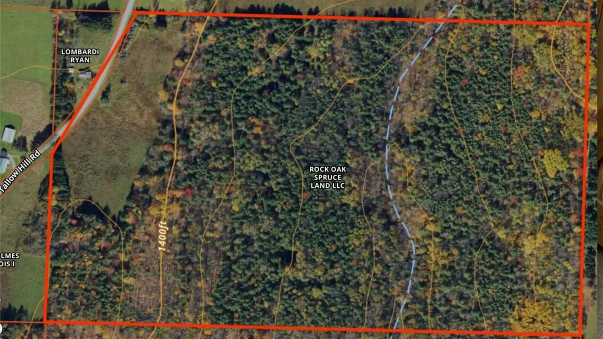 Property at 330 Tallow Hill Road, Spencer, NY 14883 22