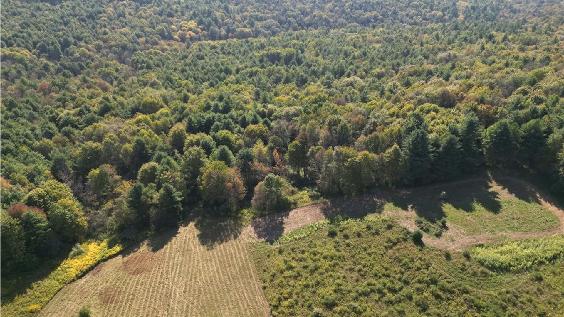 Property at 330 Tallow Hill Road, Spencer, NY 14883 3