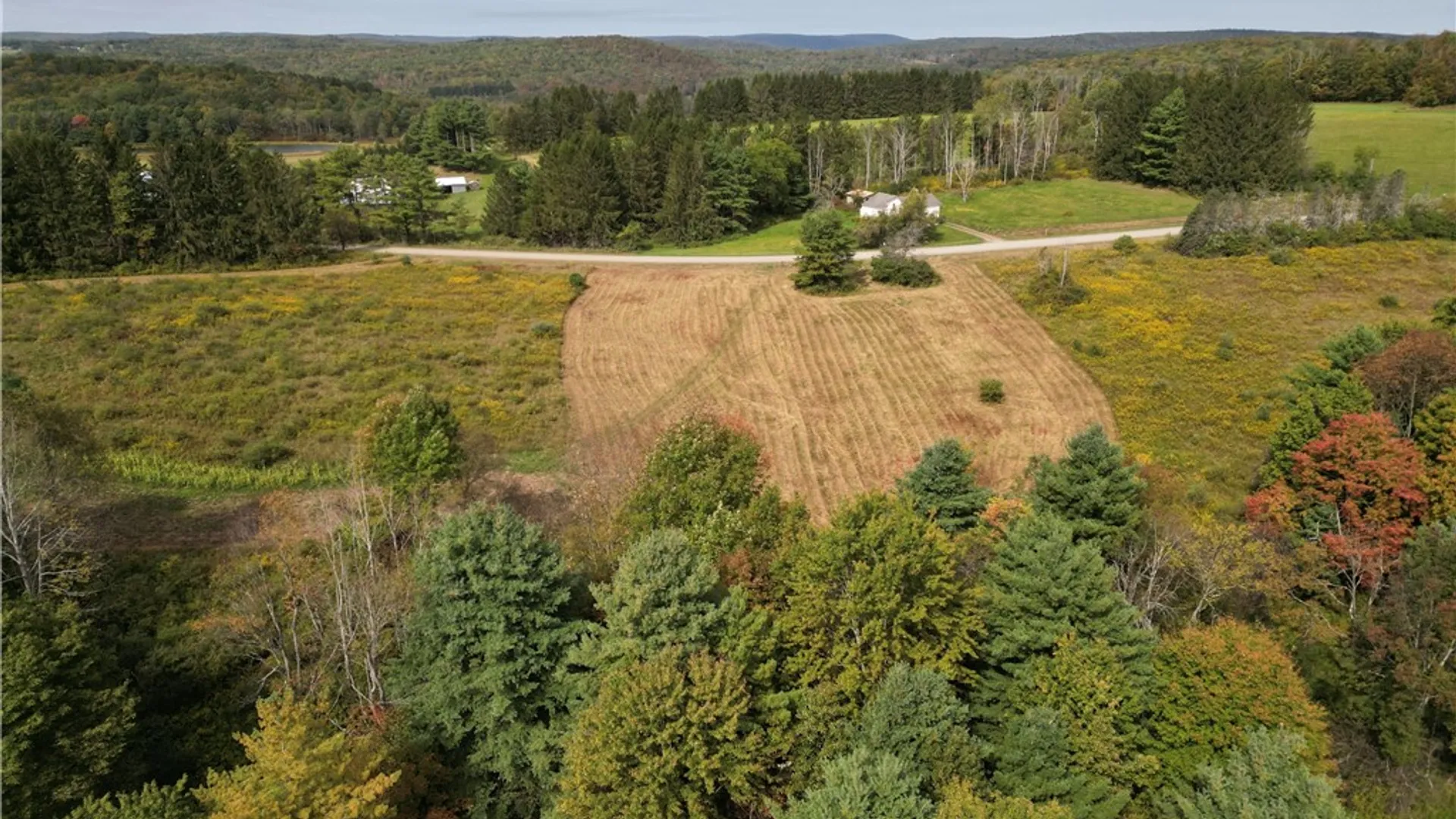 Property at 330 Tallow Hill Road, Spencer, NY 14883 4