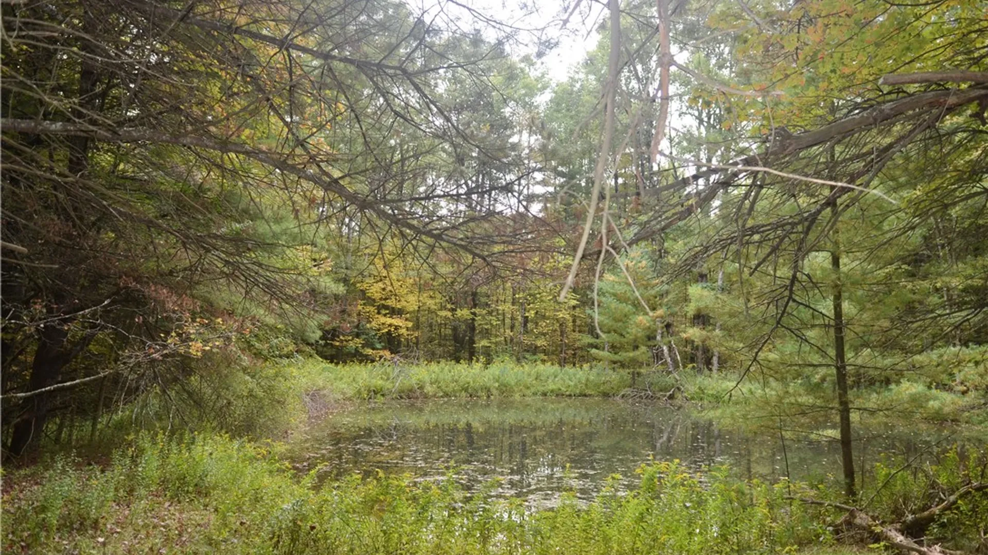 Property at 330 Tallow Hill Road, Spencer, NY 14883 5