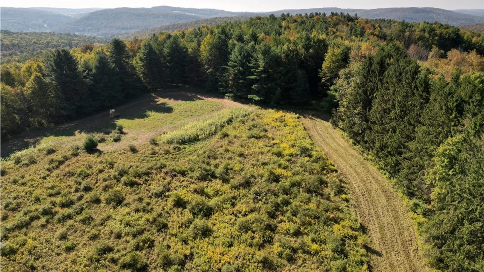 Property at 330 Tallow Hill Road, Spencer, NY 14883 7