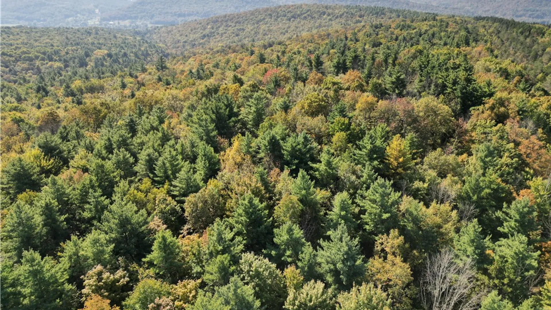 Property at 330 Tallow Hill Road, Spencer, NY 14883 8