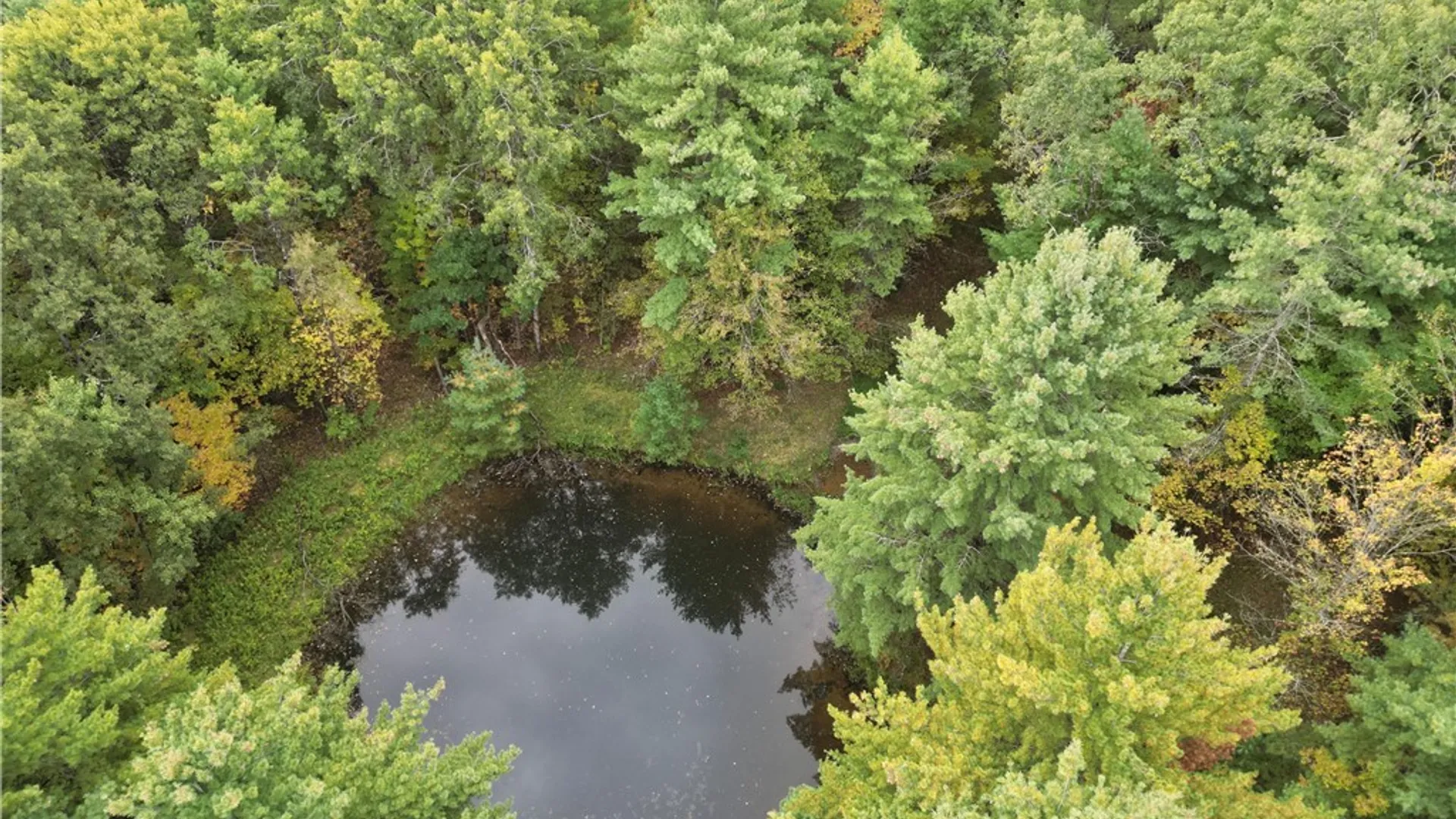 Property at 330 Tallow Hill Road, Spencer, NY 14883 9