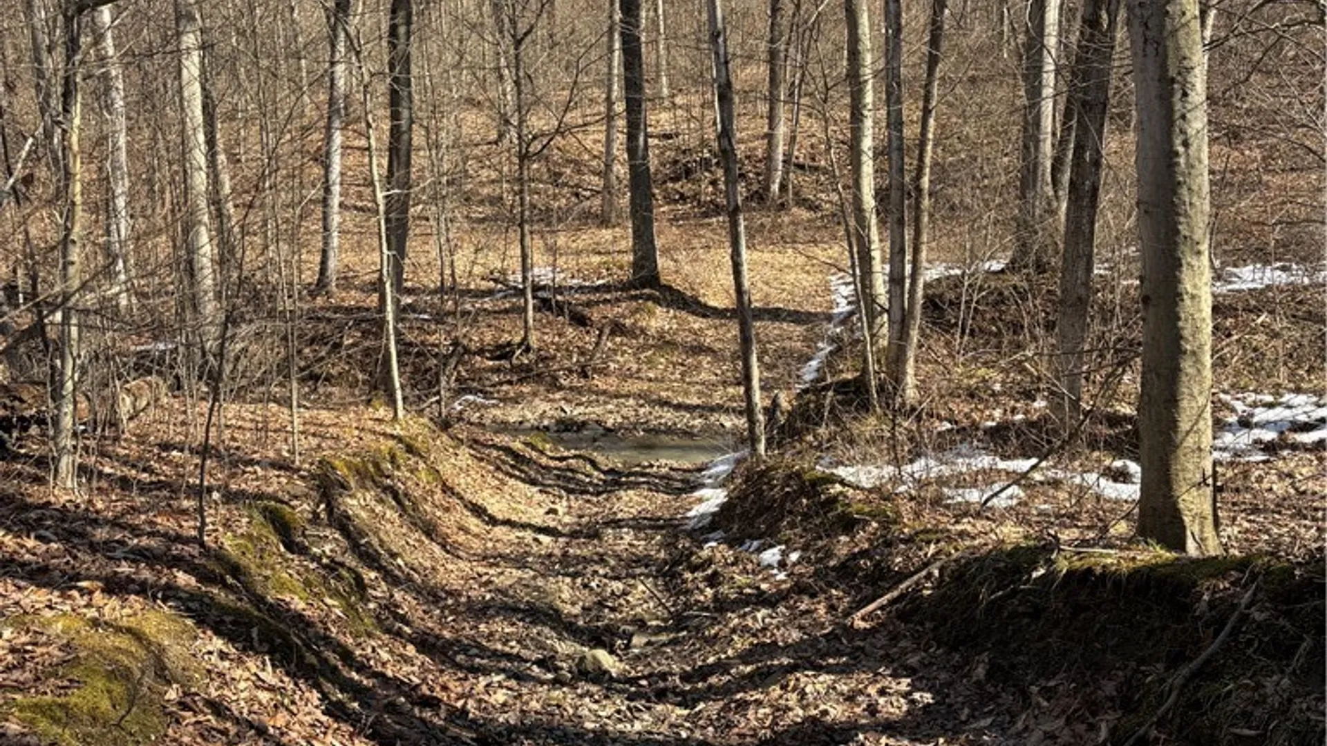 Property at Cr-2, Angelica, NY 14709 11
