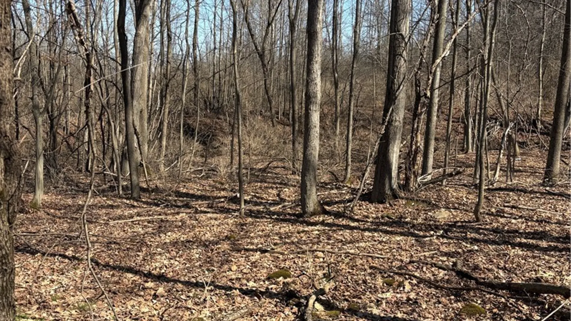 Property at Cr-2, Angelica, NY 14709 19