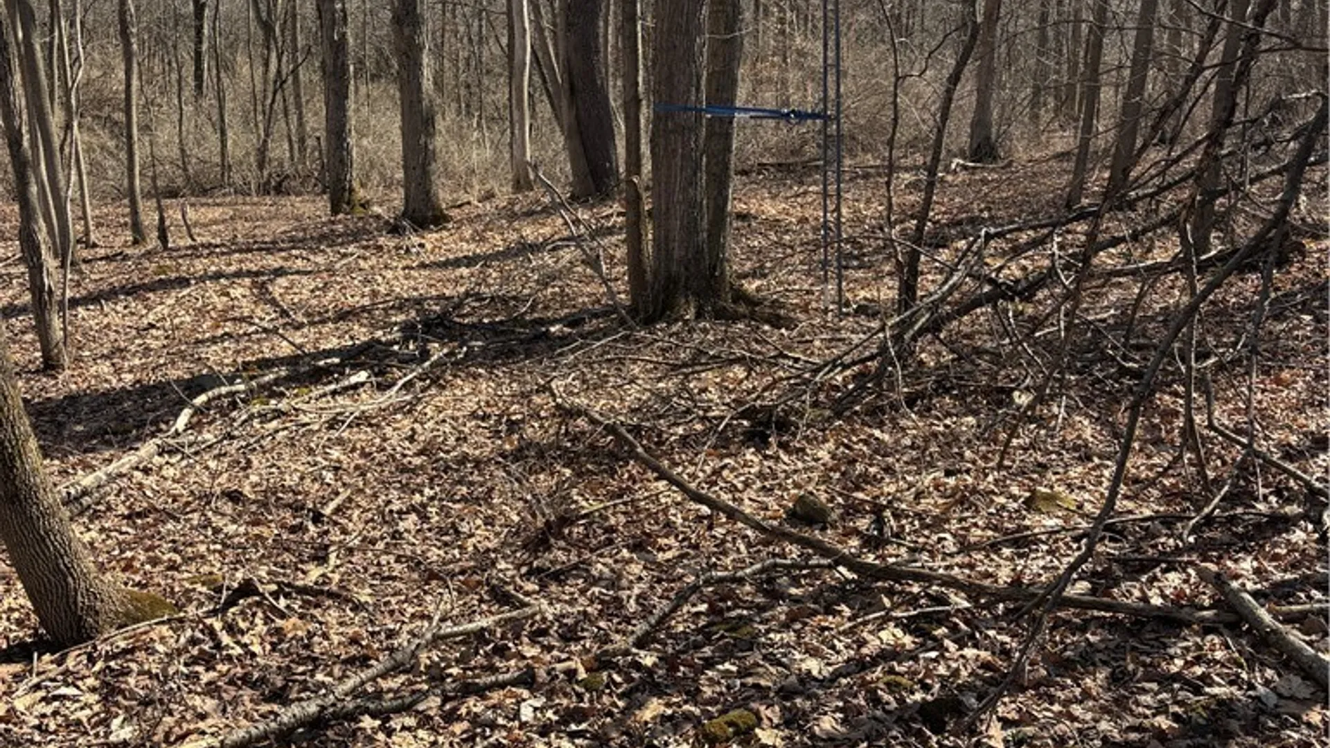 Property at Cr-2, Angelica, NY 14709 21